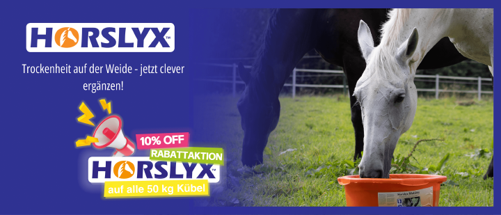 Banner Horslyx 2026